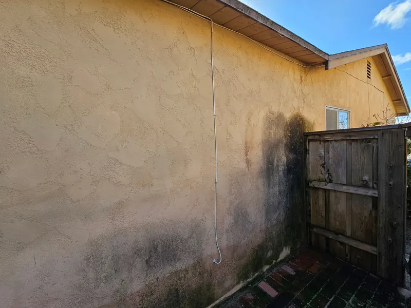 Mildew-stained stucco wall on the shaded side of the house