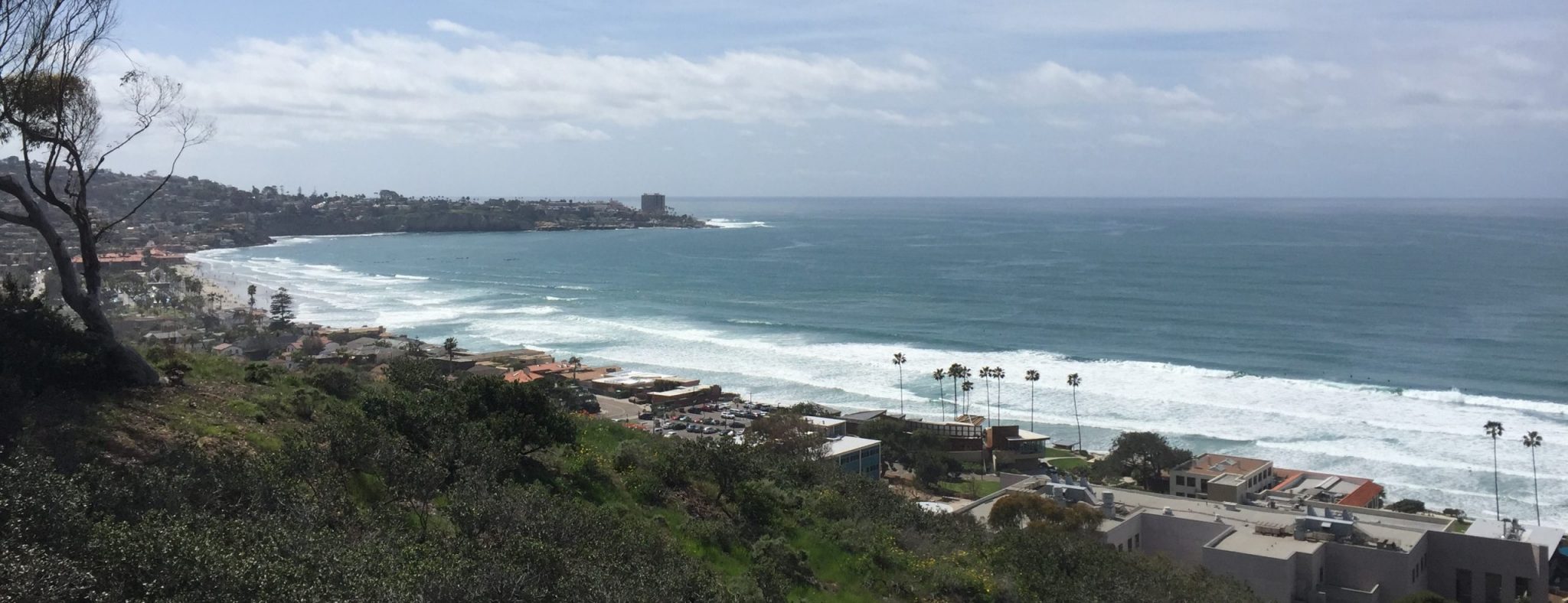 Coastal view with waves, palm trees, and buildings along the shore